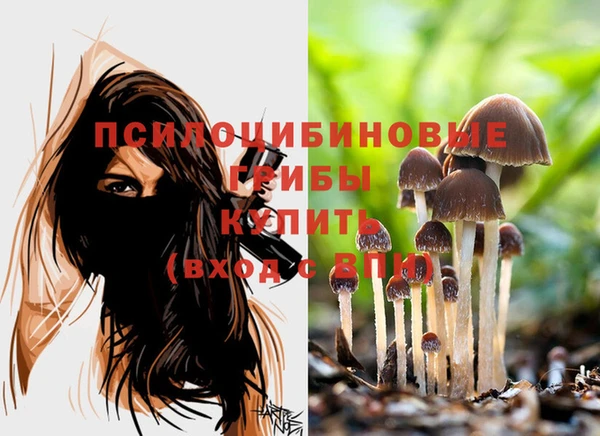 спиды Балабаново